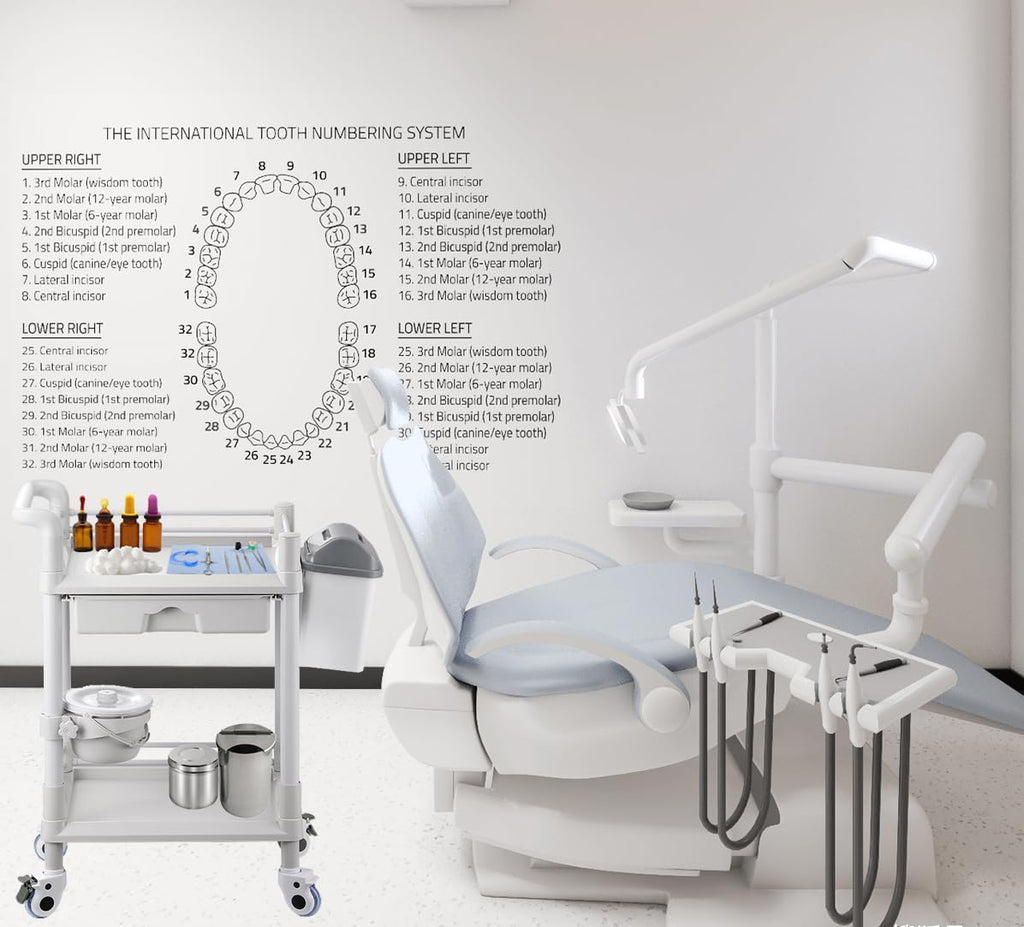 Mount Plus MT01 2 Tier Mobile Medical Cart Trolley with Drawer, Trash Cans, Waste Bowl | Beauty Salon Rolling Trolley with 360° Rotate Wheels | Heavy Duty Utility Cart for Hospital Dental Clinic